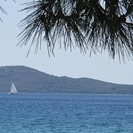 Sanja,zadar,kozinsko Primorje,kozino Kožino